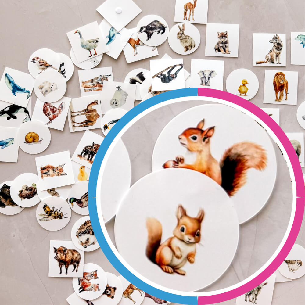 90 cartes - Trouvez une paire d’animaux - Cartes Montessori