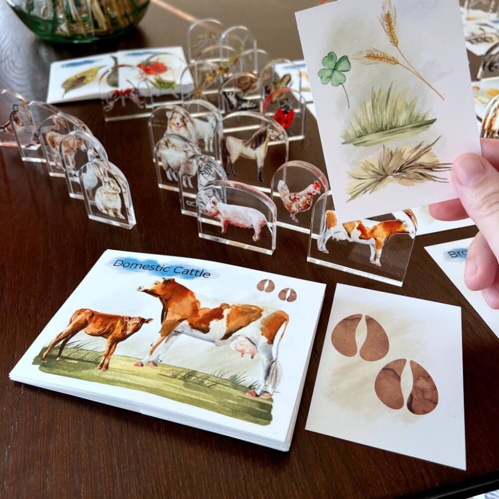 MEGA set de cartes éducatives pour enfants - 117 cartes d’animaux + 39 figurines avec image